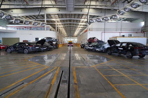 日均撞廢兩輛車，比亞迪公開實驗室背后的安全密碼與行業啟示